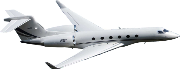 Freewing PJ50 Private Jet mit Gyro EPO 1700mm PNP